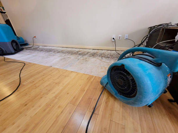 Professional Structural Drying technician working in Point Clear, AL